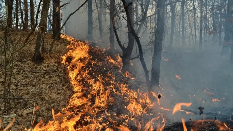 Incendiul de la Oituz, stins după 10 zile de intervenţii continue. 35 hectare afectate