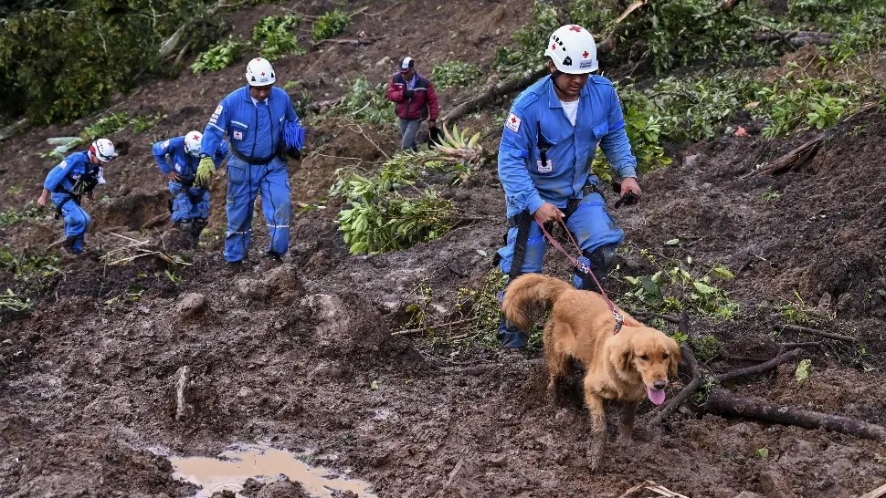 Alunecare de teren în Columbia: cel puțin 11 morți