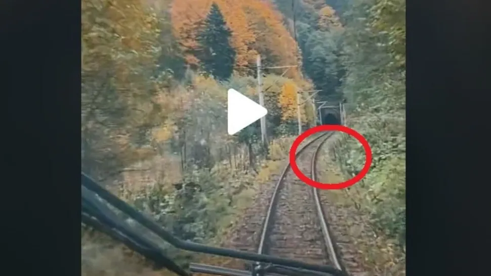 VIDEO – Mecanicul unei locomotive a filmat drumul, din cabină, pe Valea Prahovei – Surpriză, ce i-a apărut brusc în cale