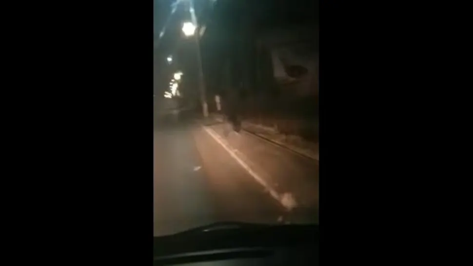 VIDEO Urs filmat în centrul unei comune turistice din județul Brașov!