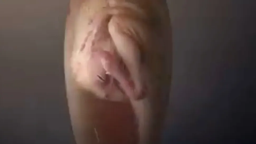 VIDEO | Descoperire istorică în China! Inițial au crezut că sunt ouă, dar când s-au uitat cu atenție, au rămas UIMIȚI