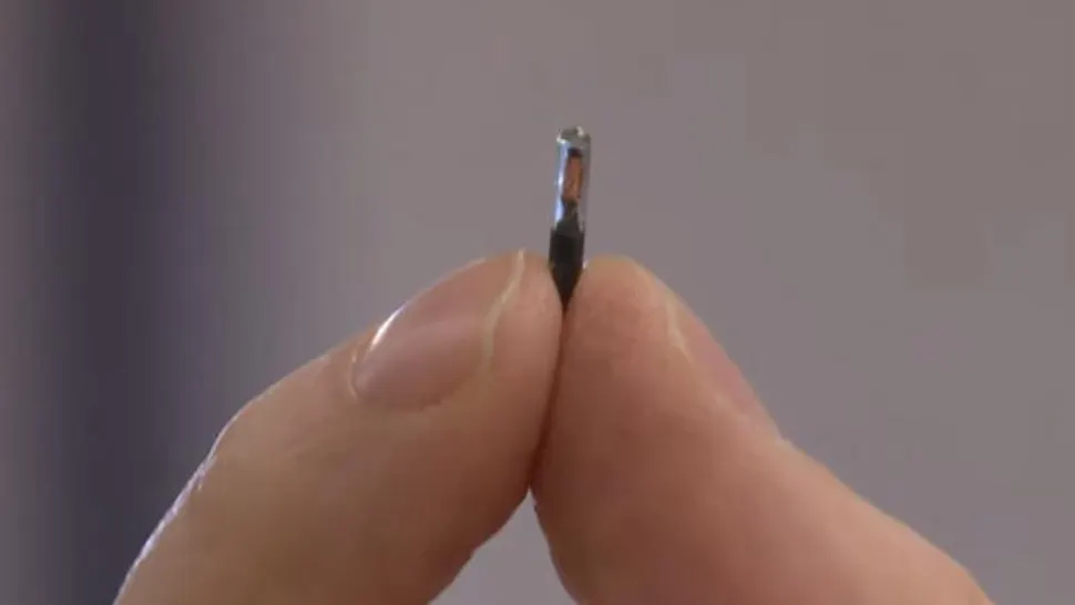 VIDEO | Certificatele Covid vor putea fi scanate de pe un microcip implantat sub piele