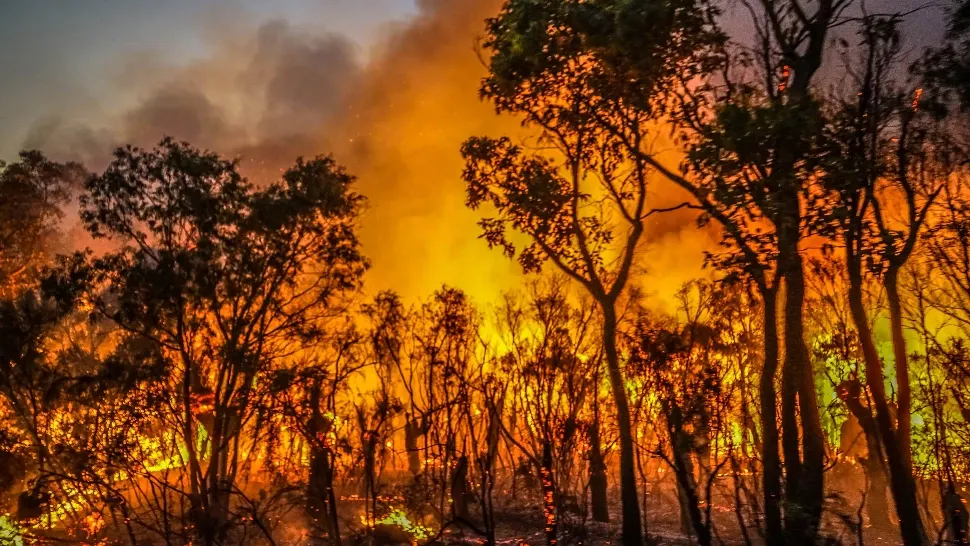 FOTO + VIDEO | Incendiu scăpat de sub control în Australia. Flăcările au cuprins o regiune turistică