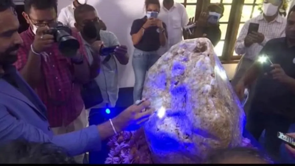 Cel mai mare safir albastru din lume, prezentat de Sri Lanka - Cum a fost descoperită piatra prețioasă gigant - FOTO&VIDEO