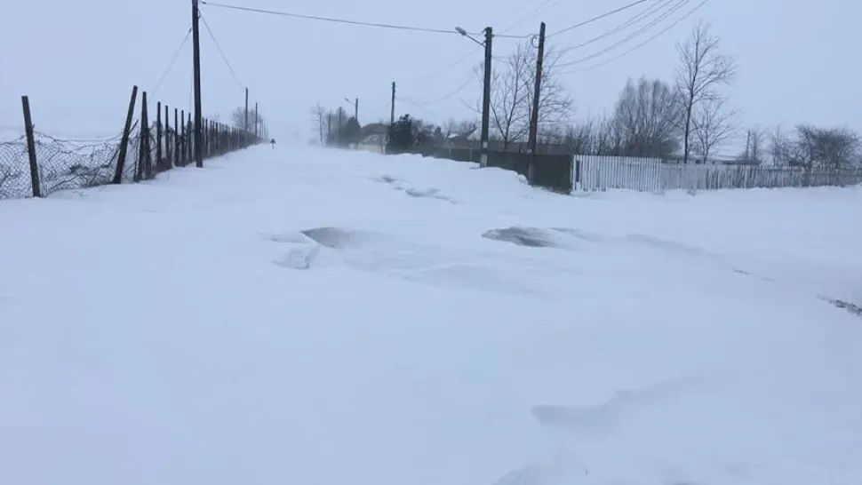 Frig și GROAZĂ! Peste 2000 de oameni din Apuseni, fără energie electrică din cauza vântului puternic. Multe drumuri din județul Alba, înzăpezite 