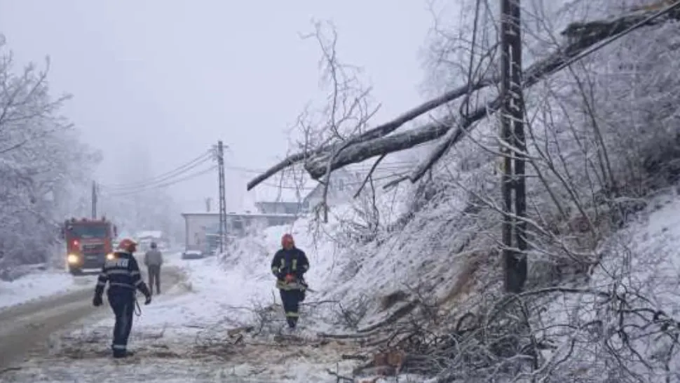 FOTO | Copaci căzuţi pe două drumuri naţionale şi un drum judeţean, din cauza zăpezii, în Bistrița Năsăud 