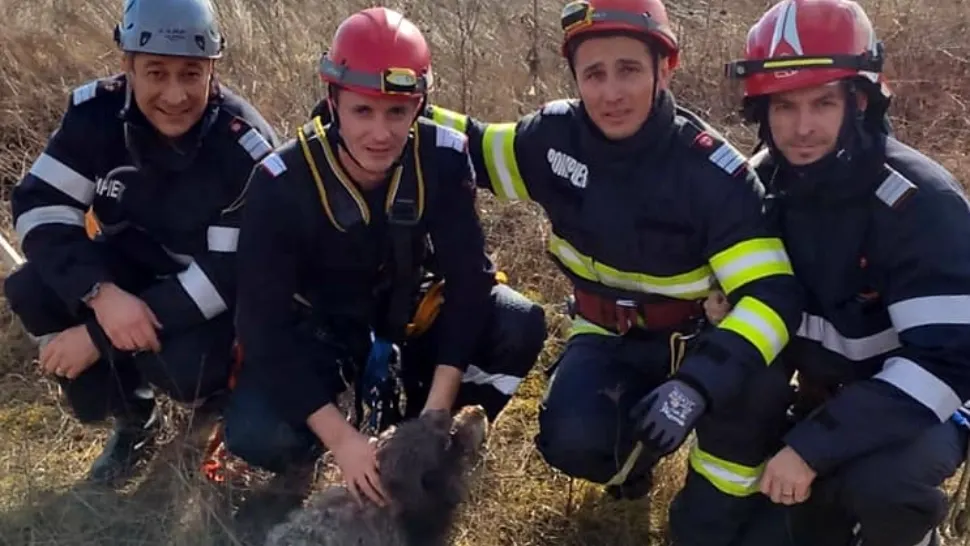 FOTO Cățel căzut într-un puț de 12 metri, SALVAT de alpiniști, la Hunedoara