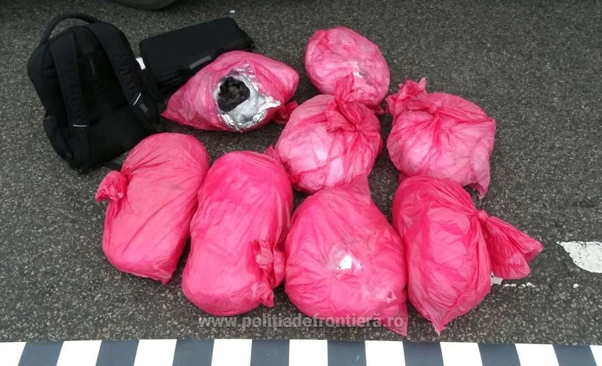 Droguri găsite în Pădurea Băneasa, lângă Academia de Poliție. Pachetele erau îngropate