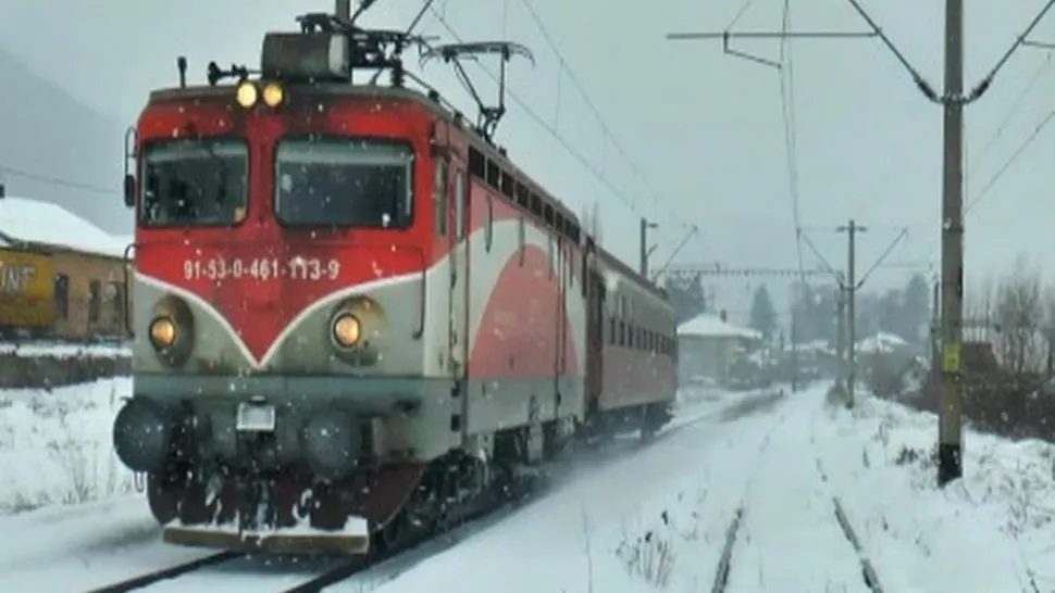 Trei trenuri blocate în gări, din cauza unor copaci căzuți pe șine. Circulația feroviară oprită temporar în județul Hunedoara