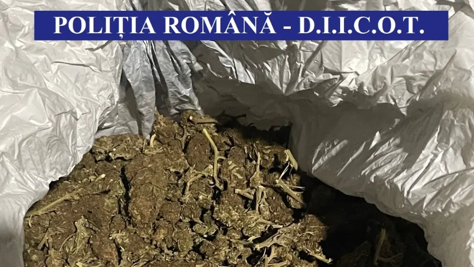 FOTO | Doi bărbați din Cluj au fost arestați pentru TRAFIC de droguri! Ce cantitate de cannabis încercau aceștia sa vândă 
