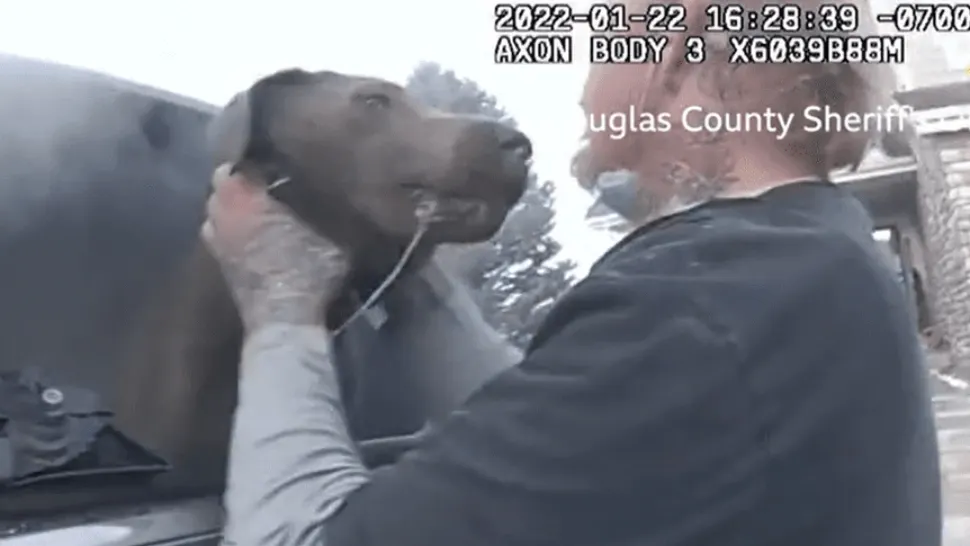 VIDEO | Salvare MIRACULOASĂ! Un câine este scos dintr-o mașină în flăcări în ultimul moment