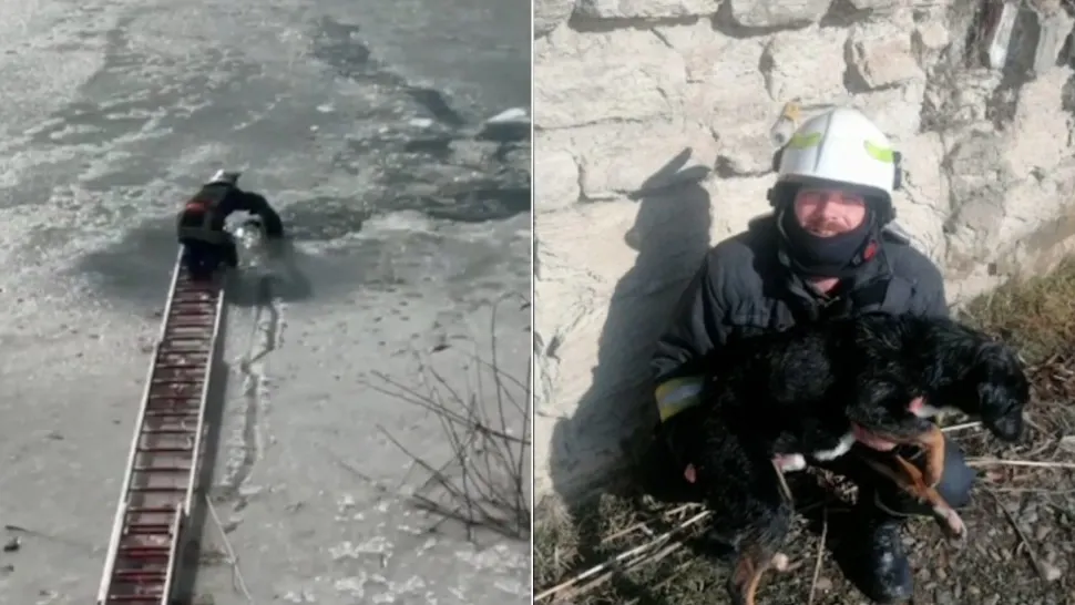 Intervenție spectaculoasă pe Siret a pompierilor pentru salvarea unui cățel - Imagini emoționante | VIDEO