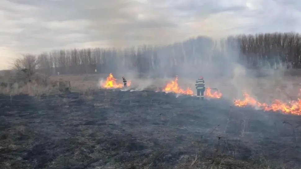 Incendiu DEVASTATOR în Tulcea. 30 de hectare de pamânt au ars în întregime