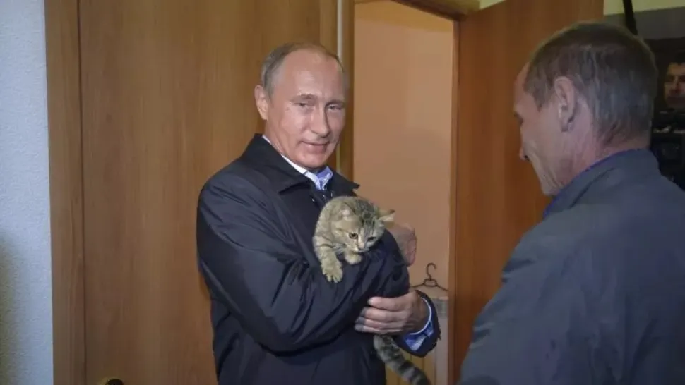 TikTok și-a suspendat o serie de servicii în Rusia, ca urmare a legii date de Vladimir Putin