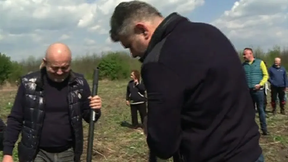 VIDEO Ciolacu pune umărul la împădurit: liderul PSD a trecut de la costum, la sapă