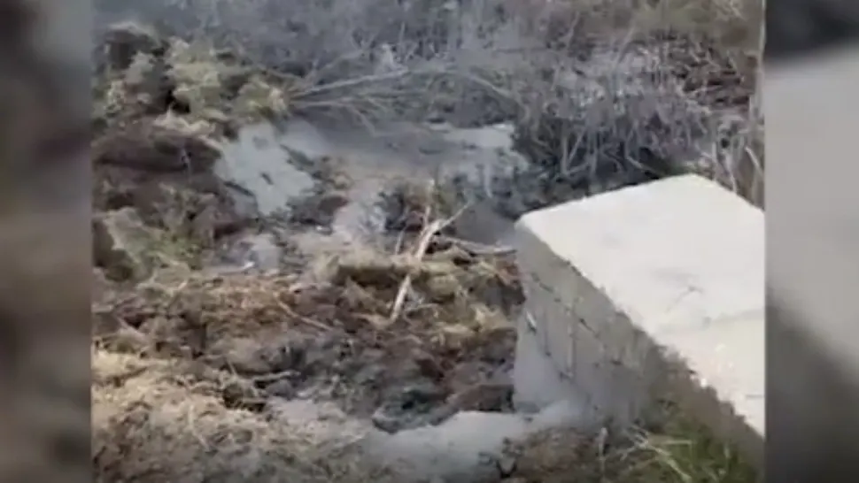 VIDEO | Dezastru ecologic: Camioane pline cu cenuşă de zgură, deversate ilegal într-un pârâu