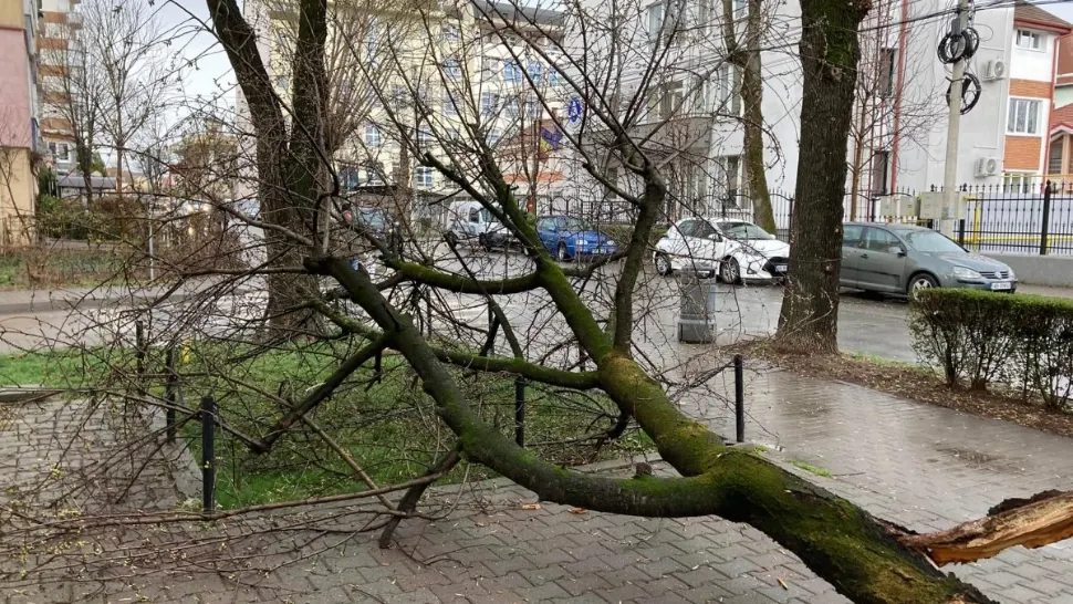 Cod galben de ploi și vijelii. Unde vor avea loc fenomenele extreme - HARTĂ