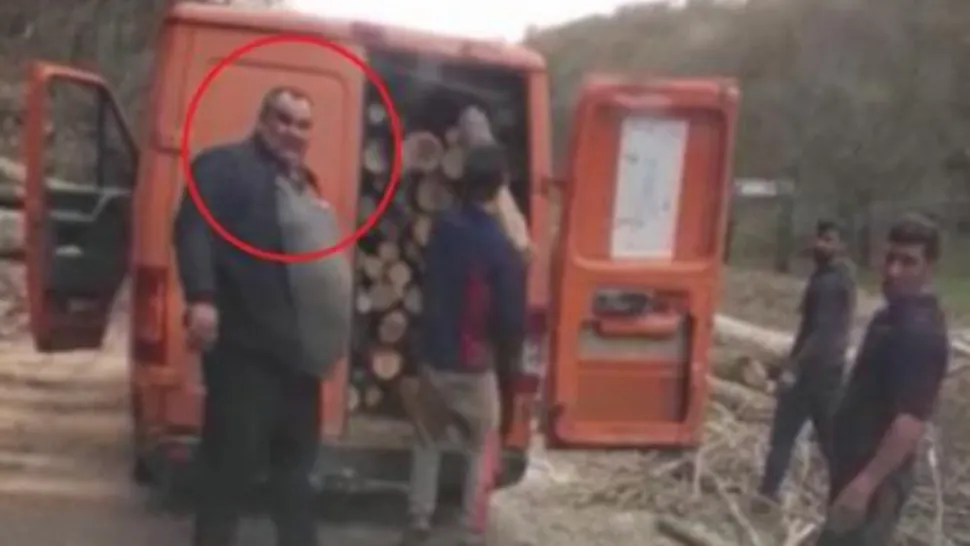Imagini revoltătoare, surprinse într-o pădure din Bihor. Primar filmat în timp ce fura lemne cu duba