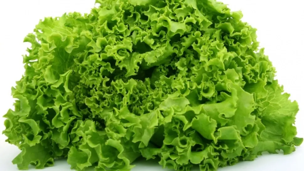 Adevărul despre salata creaţă. Nu o să mai mănânci niciodată!