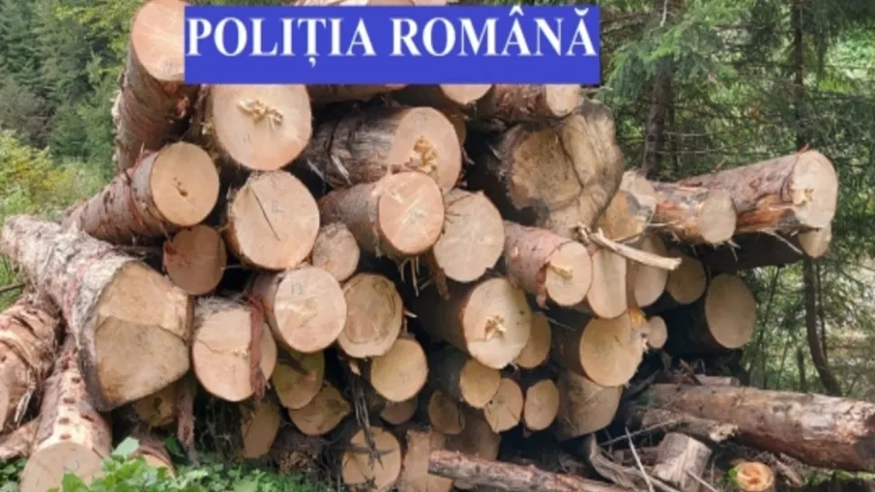Material lemnos în valoare de peste 15.000 de lei, confiscat de polițiști, în Dâmboviţa