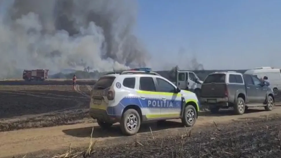 INCENDIU IMENS în județele Arad și Timiș: ard lanuri întregi de grâu - VIDEO