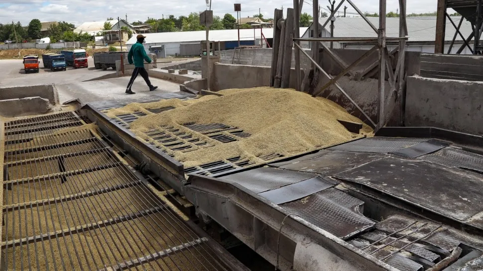 Război Ucraina. Cum fură rușii cerealele ucrainenilor. Investigația care confirmă totul