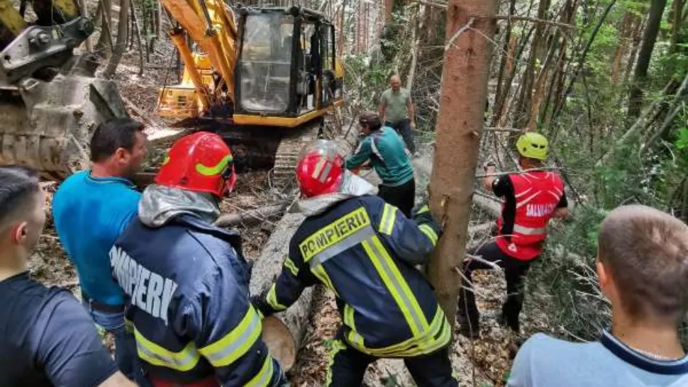 Incident tragic în Vâlcea. Un bărbat a murit după ce un copac s-a prăbușit peste el