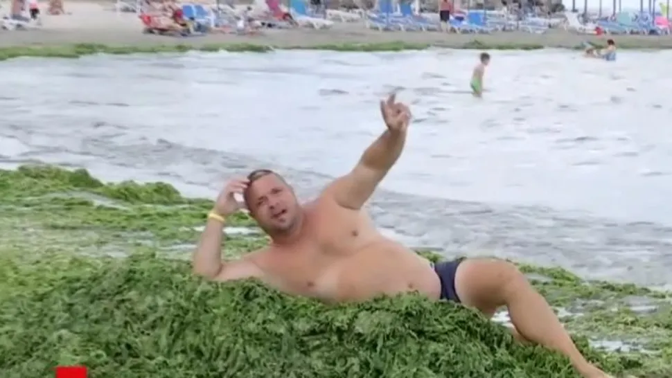 Scandalul momentului pe litoral. Algele inundă plajele, autoritățile dau din umeri: "Facem toate eforturile necesare. E un fenomen natural"