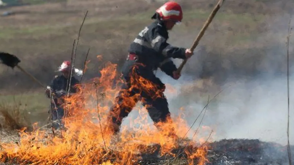 Un incendiu de vegetație s-a extins la casele din apropiere 