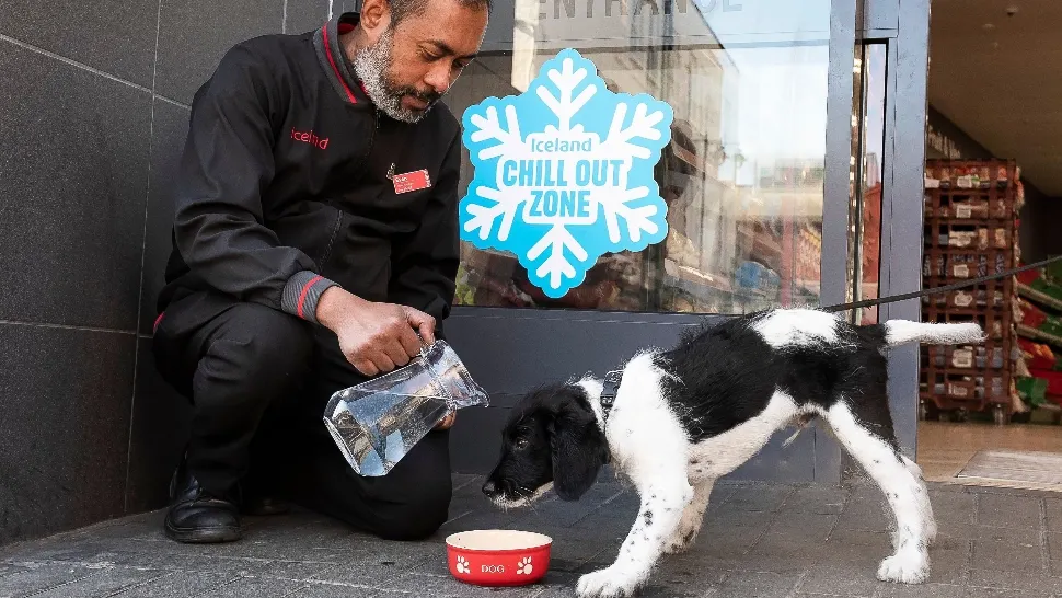 Stare de urgență națională în Anglia, a fost emis COD ROȘU de CANICULĂ. Pot muri chiar și oameni sănătoși