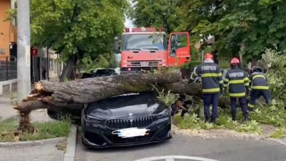 Dorel de pe excavator - Un copac a căzut de DOUĂ ori peste un bolid de lux, în Pitești - Imagini virale