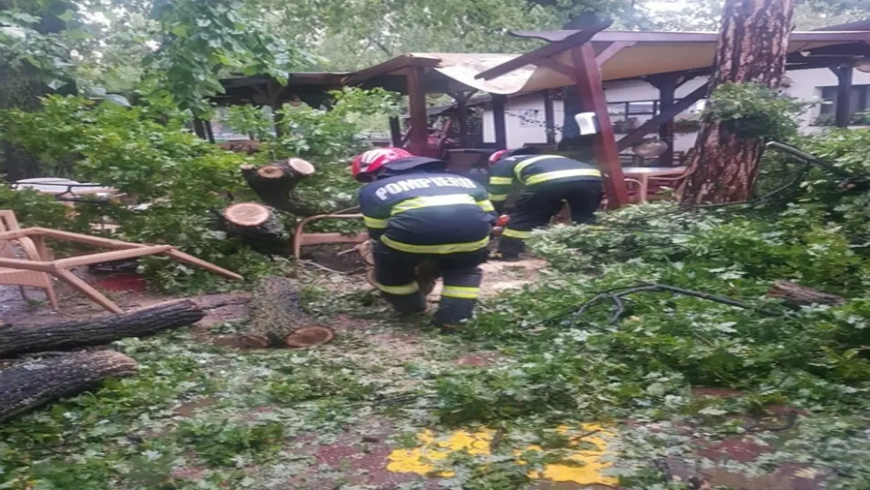 Furtuna a făcut prăpăd în Buzău. Copaci doborâți de vânt, a fost emis mesaj RO-ALERT - VIDEO