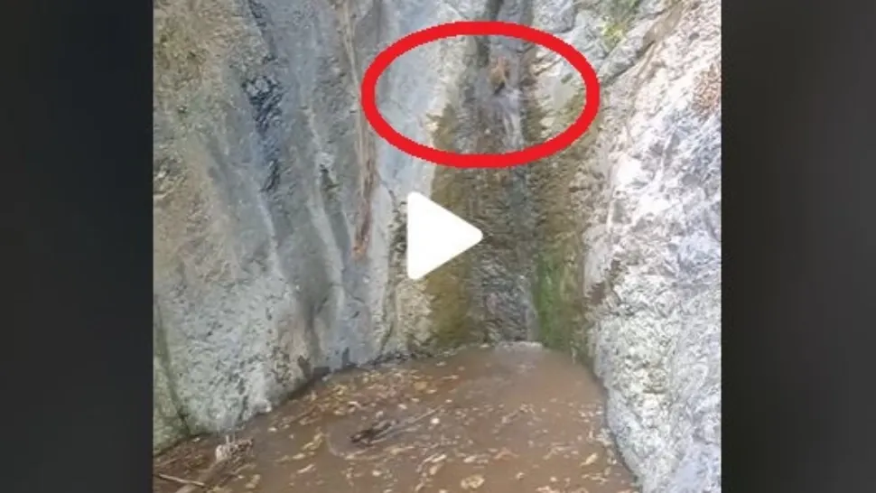 VIDEO – A găsit o cascadă mică pe munte și a auzit zgomote ciudate. Când s-a uitat mai bine nu i-a venit să creadă ce era