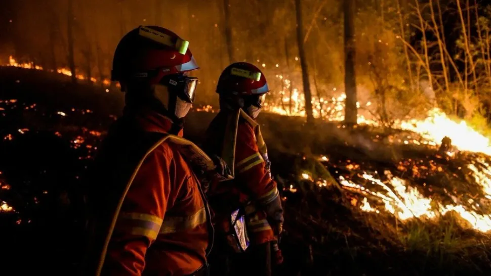 Incendiile devastatoare au făcut prăpăd în Franța. Sute de hectare de pădure au fost distruse - VIDEO