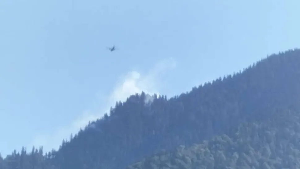 Incendiu de vegetație în Maramureș - O aeronavă a Forțelor Aeriene Române a intervenit pentru stingerea flăcărilor- Video