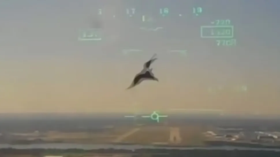 Cum s-a prăbușit un avion militar al Marinei SUA în Texas după ce a fost lovit de o pasăre - Momentul impactului