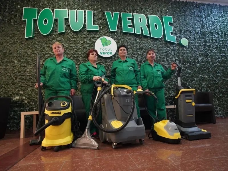 Care este diferența dintre o menajeră și o firmă specializată de curățenie?