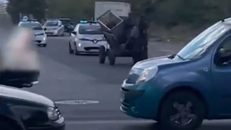 Ca-n filmele de comedie! Trei mașini de poliție nu au putut să prrindă o căruță. Totul s-a întâmplat în București