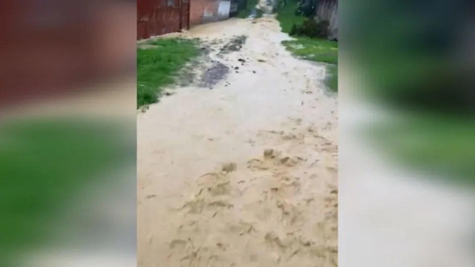Cod roșu de inundații: POTOP în Timiș după ploile torențiale - Apa a pătruns în casele oamenilor din Fârdea - VIDEO 