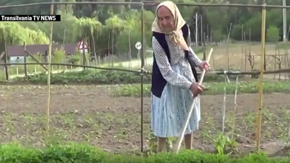 Femeia cu sănătate de fier. La 93 de ani, sparge lemne și cosește iarba 