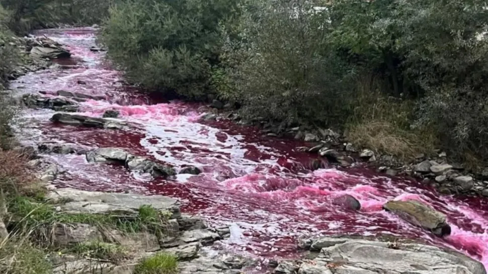 Fenomen mai puțin obișnuit pe un râu din județul Bistrița Năsăud. Apa s-a colorat în ROȘU (video)