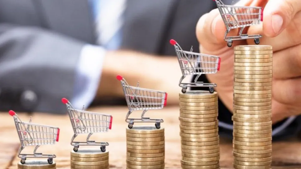 Coș minim de consum. De câți bani au nevoie românii pentru un trai DECENT în 2022 - Datele-ȘOC ce contrazic autoritățile