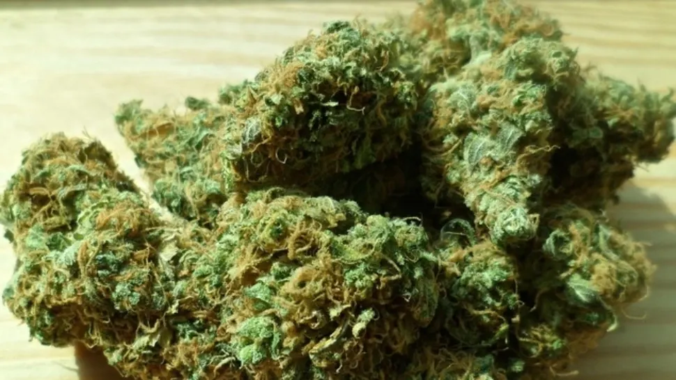 Captură impresionantă: 50 de kilograme de canabis, ascunse într-un perete fals