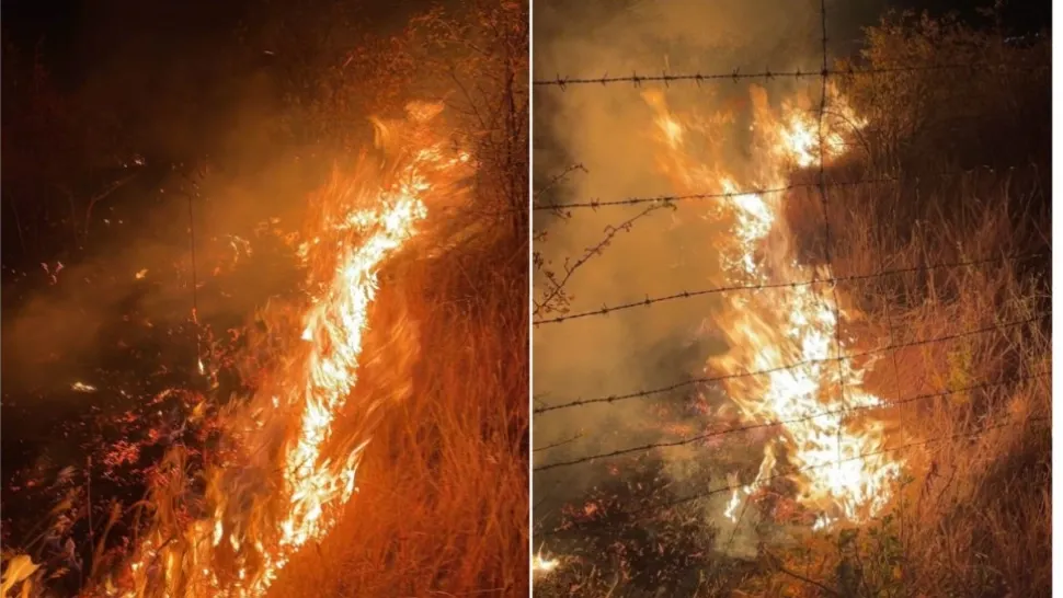 Incendiu violent în Prahova: ZECI de hectare de vegetație, în flăcări - Intervenție dificilă a pompierilor. Pericol de extindere