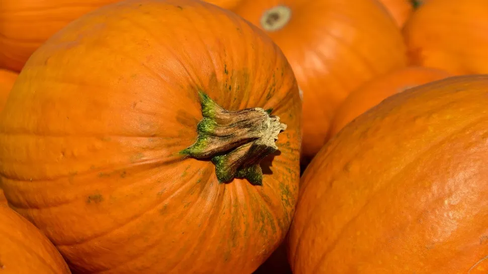 Dovlecii de Halloween au ajuns să coste chiar și 80 de lei pe kilogram - prețurile au explodat