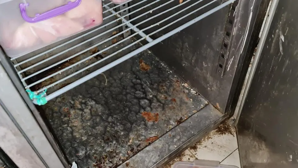 Mizerie de nedescris într-un cunoscut restaurant chinezesc din București. Ce a descoperit ANPC - VIDEO