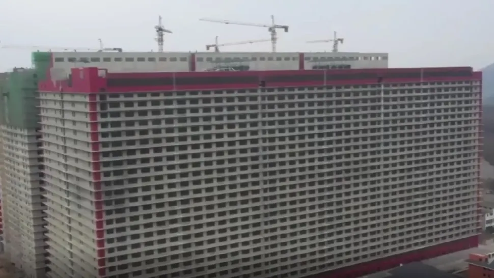 Investiție uriașă după pesta porcină. Cum arată primul hotel pentru porci din lume - VIDEO