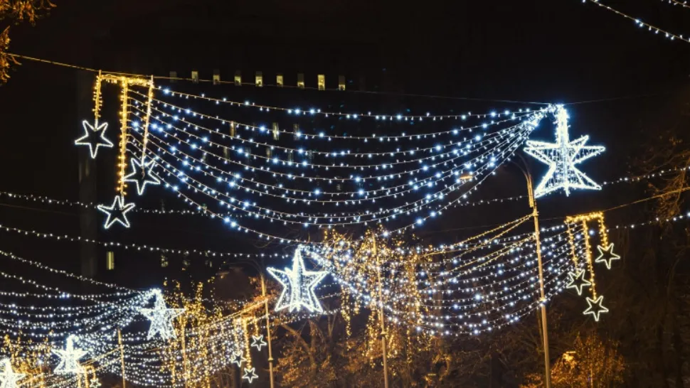 Bărbat reținut după ce a furat luminițele de Crăciun care urmau să fie montate într-un parc din Târgoviște
