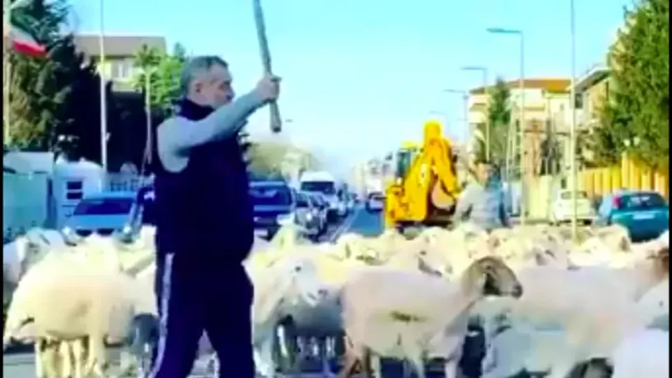 Tunurile imobiliare ale lui Becali. Cum a pus mâna pe serele de la Popești-Leordeni? Afaceri cu clanul sportivilor, cu gajul unor instituții ale statului