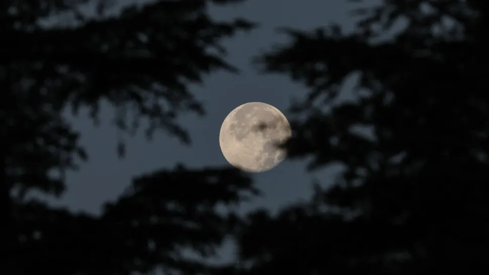 Luna Nouă în Rac pe 6 iulie 2024. Ce efecte puternice resimt zodiile